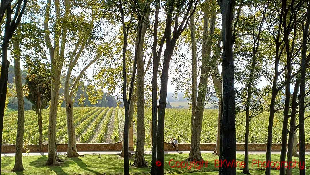 A sunny day in Chateauneuf du Pape